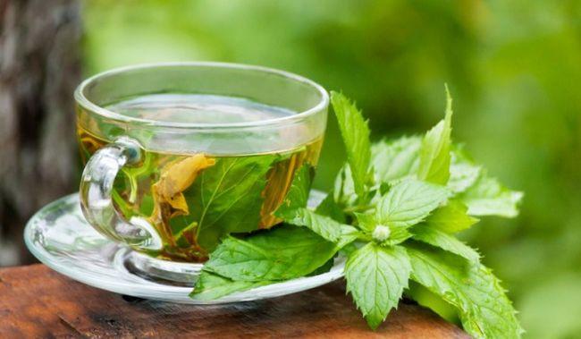 How Green Tea Can Promote Fat Loss